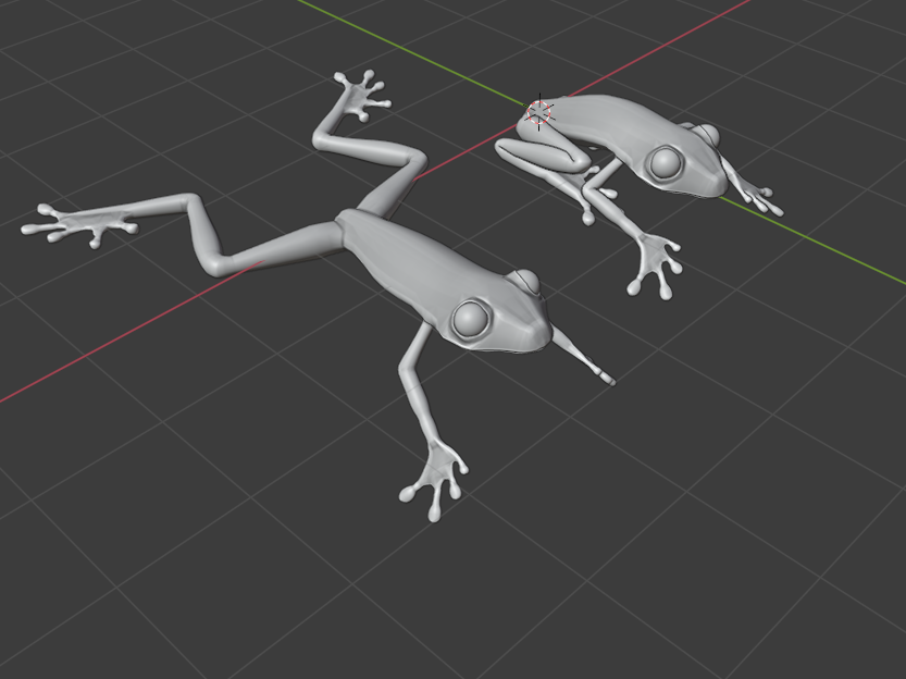 Twee ongetextureerde 3D-kikkermodellen in Blender, gemaakt door Tijs Van Besauw